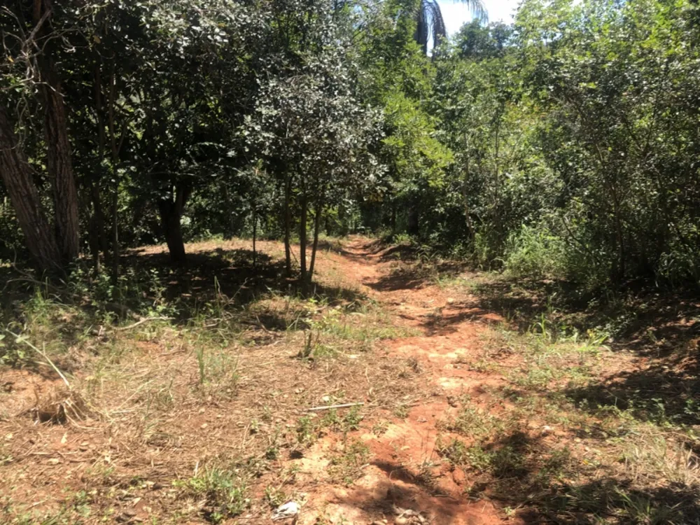 Chácara, 4 quartos, 6000 m² - Foto 8