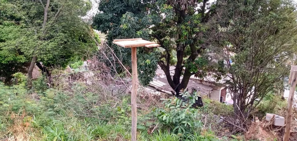 Terreno, 2762 m² - Foto 6