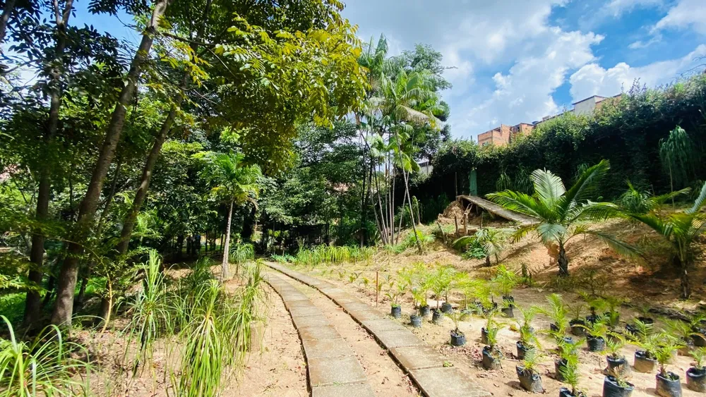 Chácara, 2 quartos - Foto 18