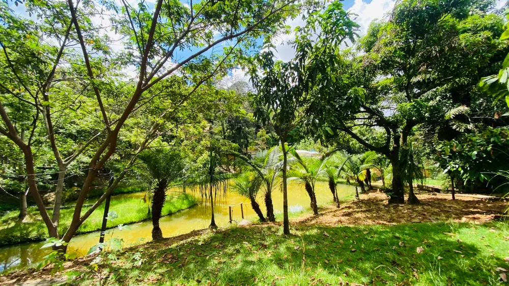 Chácara, 2 quartos - Foto 10
