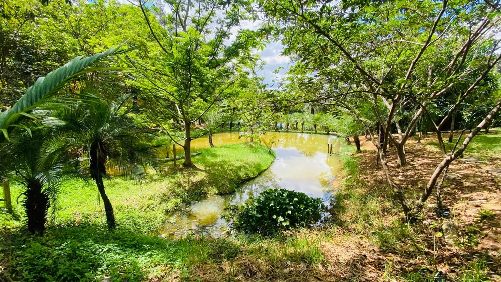 Chácara, 2 quartos - Foto 11