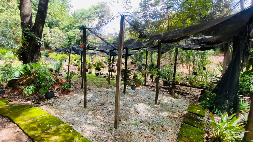 Chácara, 2 quartos - Foto 19
