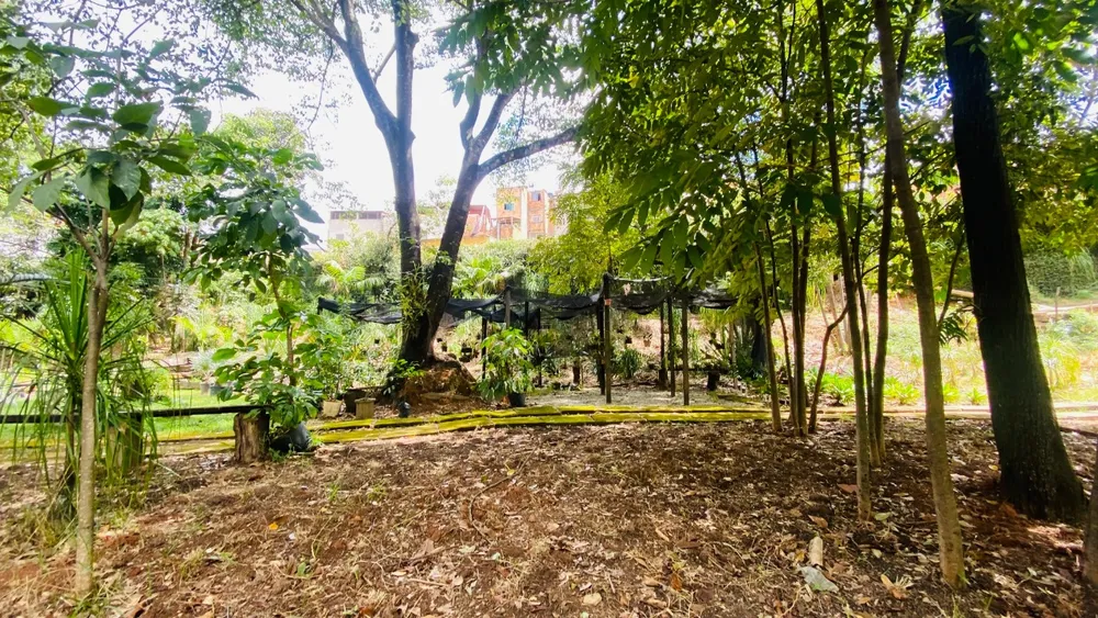 Chácara, 2 quartos - Foto 12