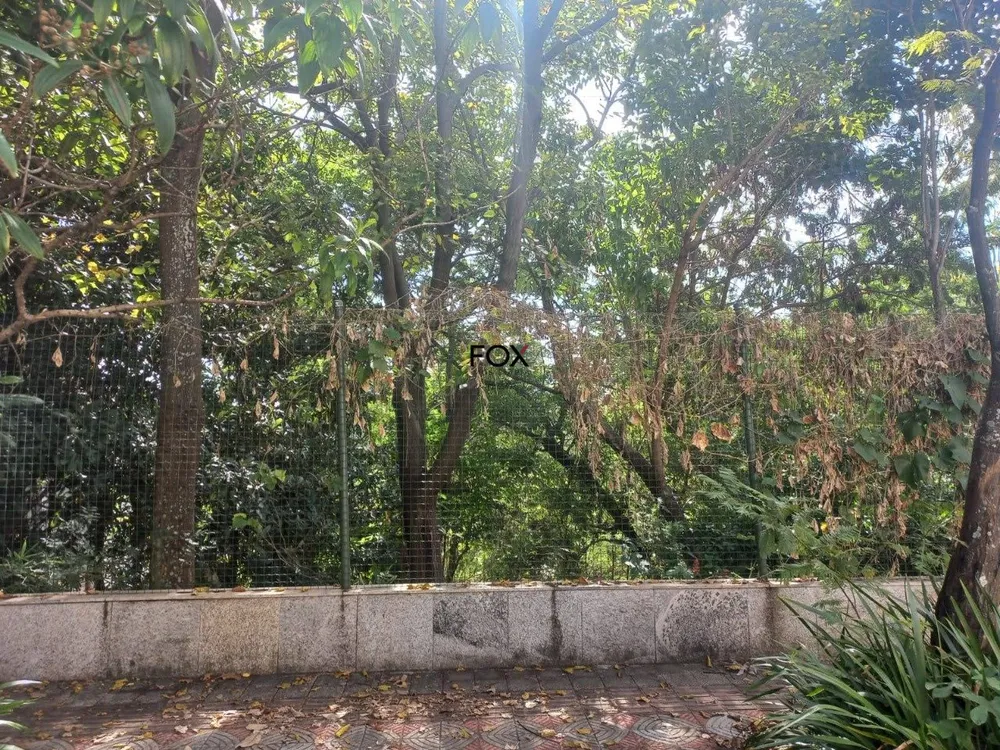 Terreno, 1150 m² - Foto 1