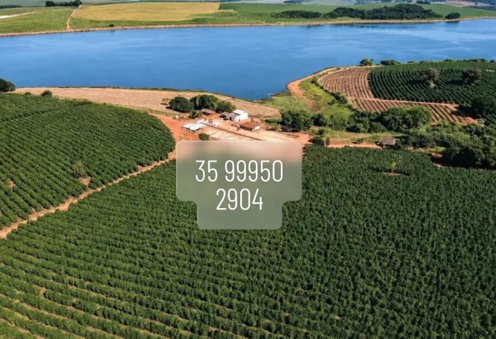 Fazenda, 41 hectares - Foto 4