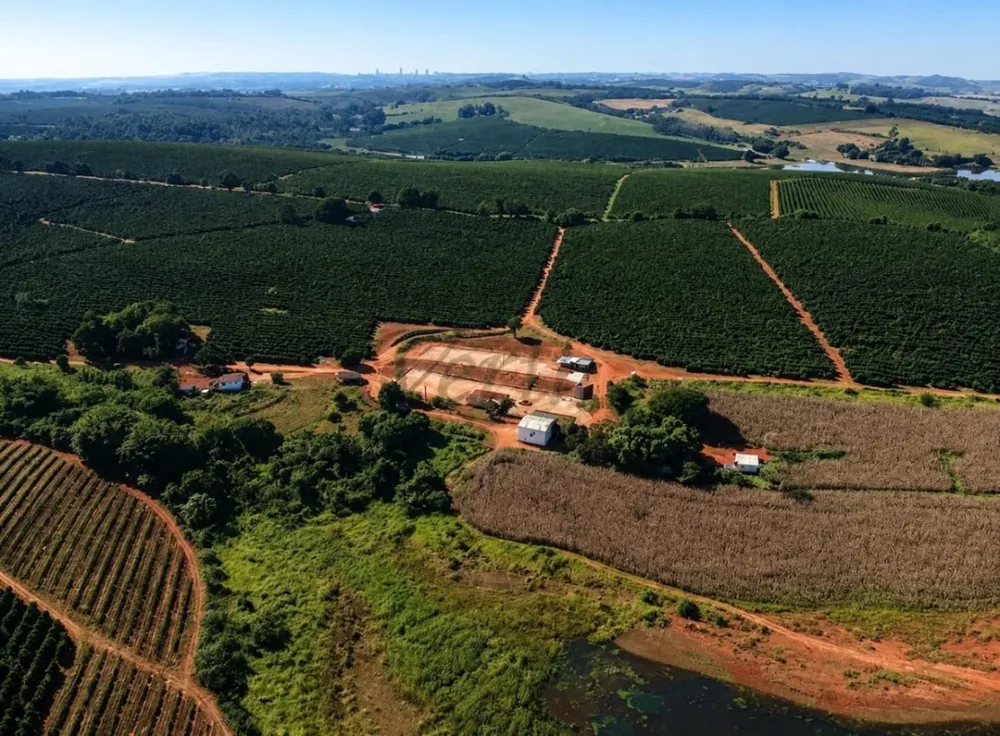 Fazenda, 41 hectares - Foto 5