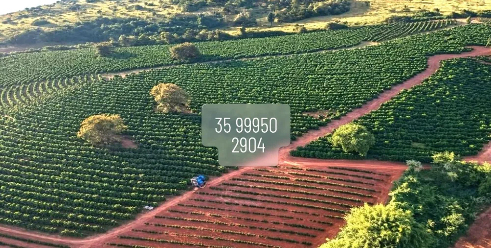 Fazenda, 41 hectares - Foto 1