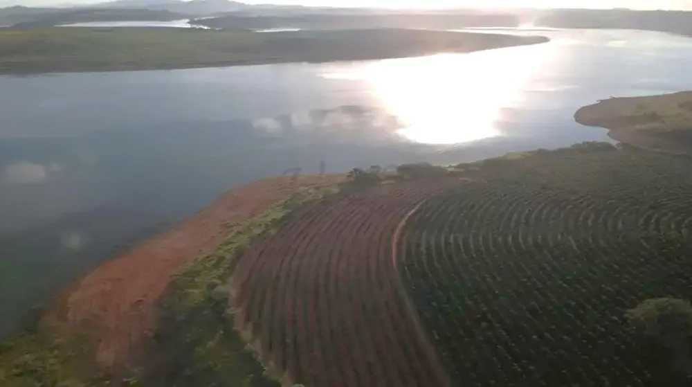 Fazenda, 41 hectares - Foto 6