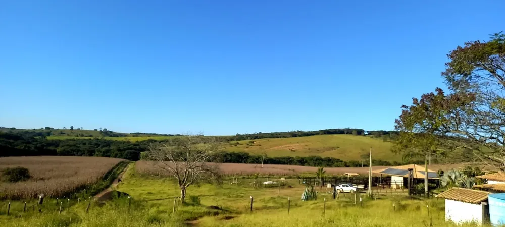Fazenda, 3 quartos - Foto 6