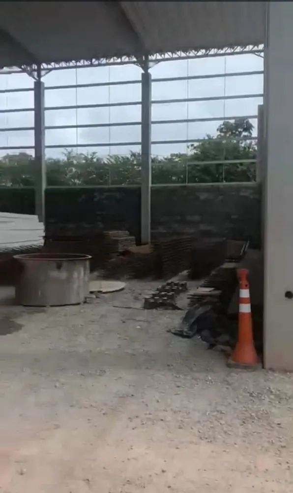 Depósito-Galpão, 5000 m² - Foto 3