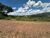 Terreno, 391 m² - Foto 5