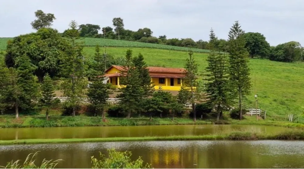 Fazenda, 84 hectares - Foto 11