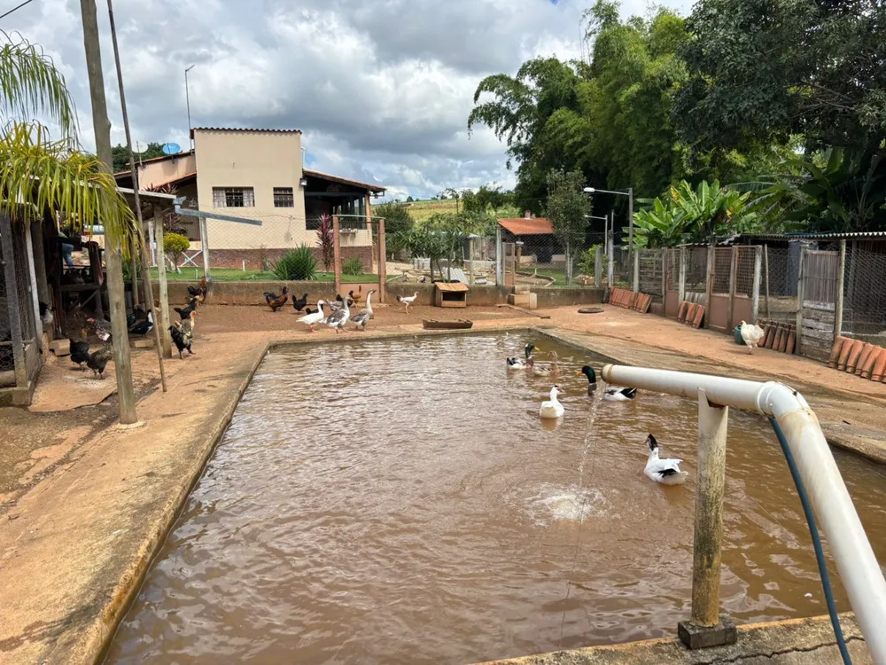 Chácara, 2 quartos - Foto 4