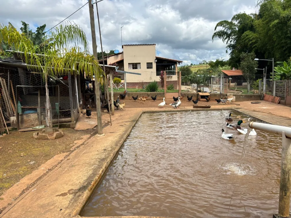 Chácara, 2 quartos - Foto 6