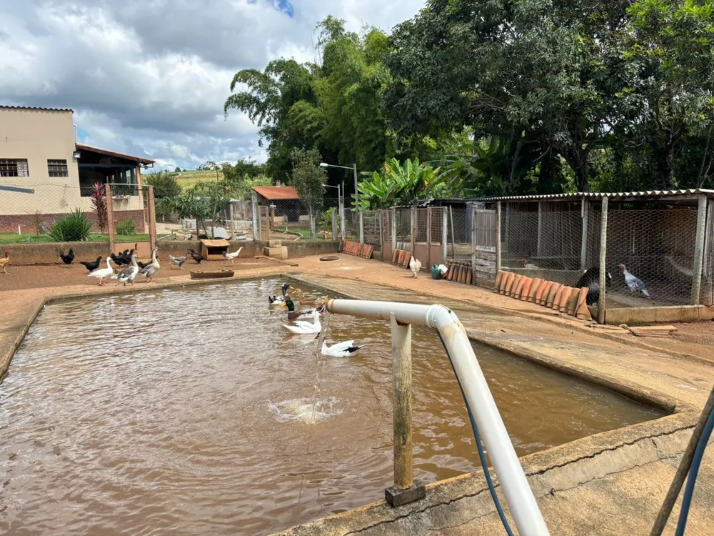 Chácara, 2 quartos - Foto 3