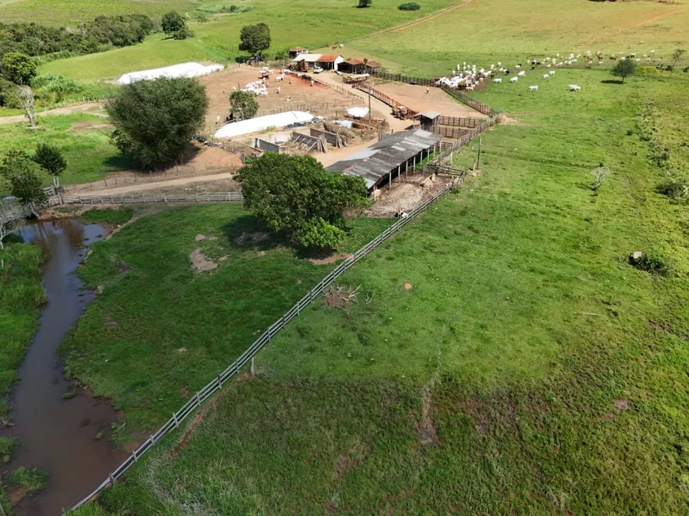 Fazenda, 167 hectares - Foto 2