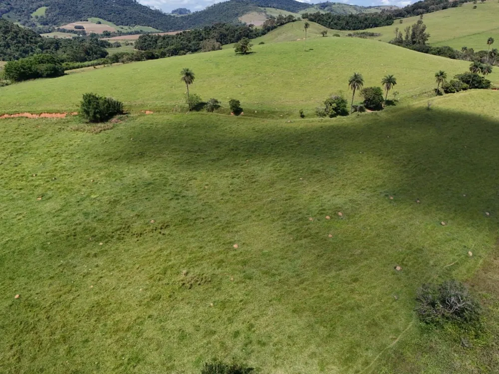 Fazenda, 167 hectares - Foto 6