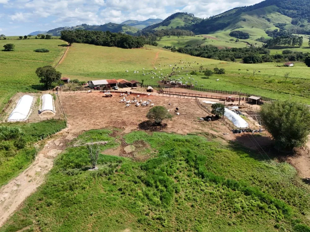 Fazenda, 167 hectares - Foto 2