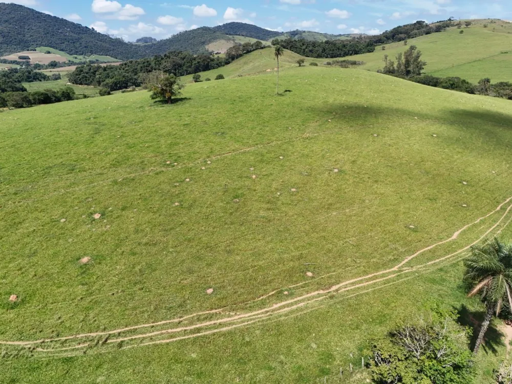 Fazenda, 167 hectares - Foto 14