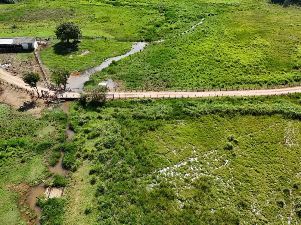 Fazenda, 167 hectares - Foto 3