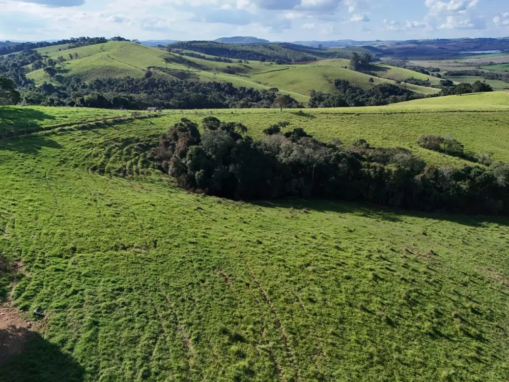 Fazenda, 167 hectares - Foto 9