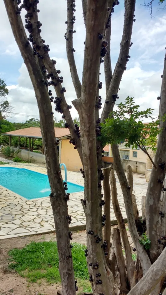 Chácara, 6 quartos, 5000 m² - Foto 1