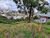 Terreno, 294 m² - Foto 1