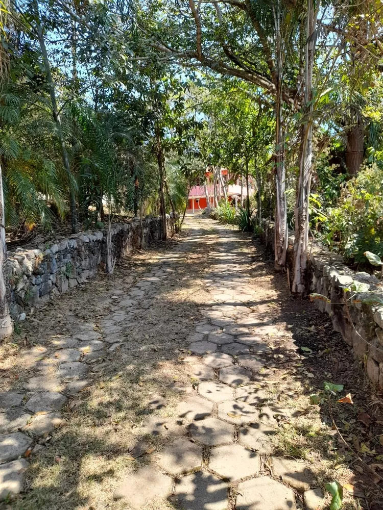 Chácara à venda com 1 quarto, 5000m² - Foto 2