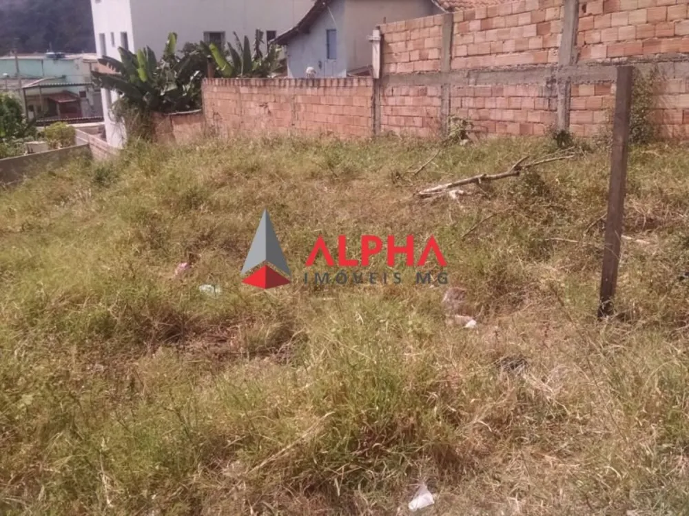 Terreno, 300 m² - Foto 7