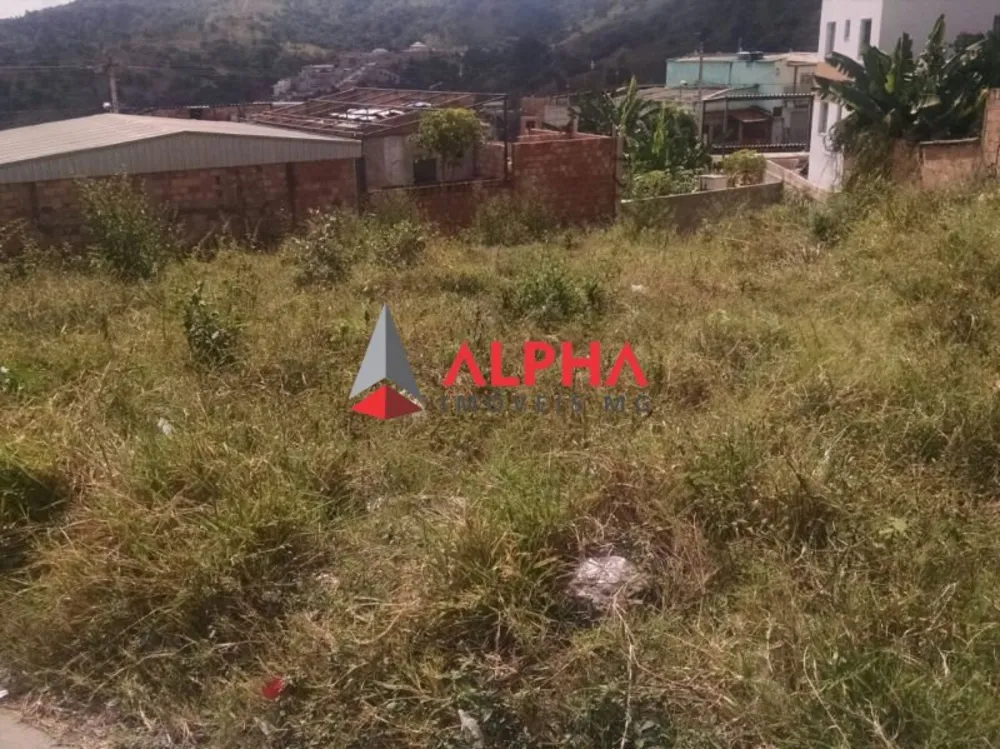 Terreno, 300 m² - Foto 6