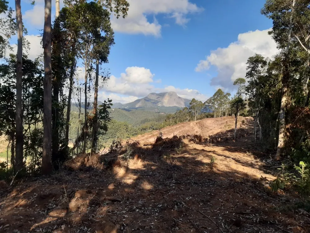Terreno, 20000 m² - Foto 8