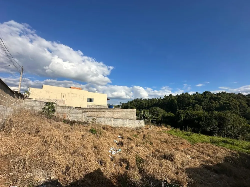 Terreno, 250 m² - Foto 7