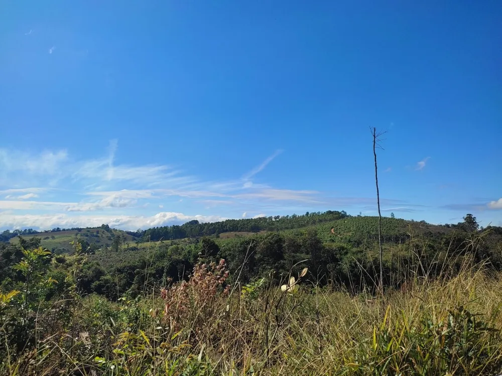 Terreno, 1200 m² - Foto 9