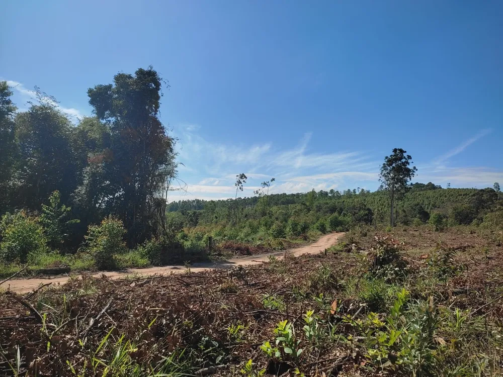 Terreno, 1200 m² - Foto 6