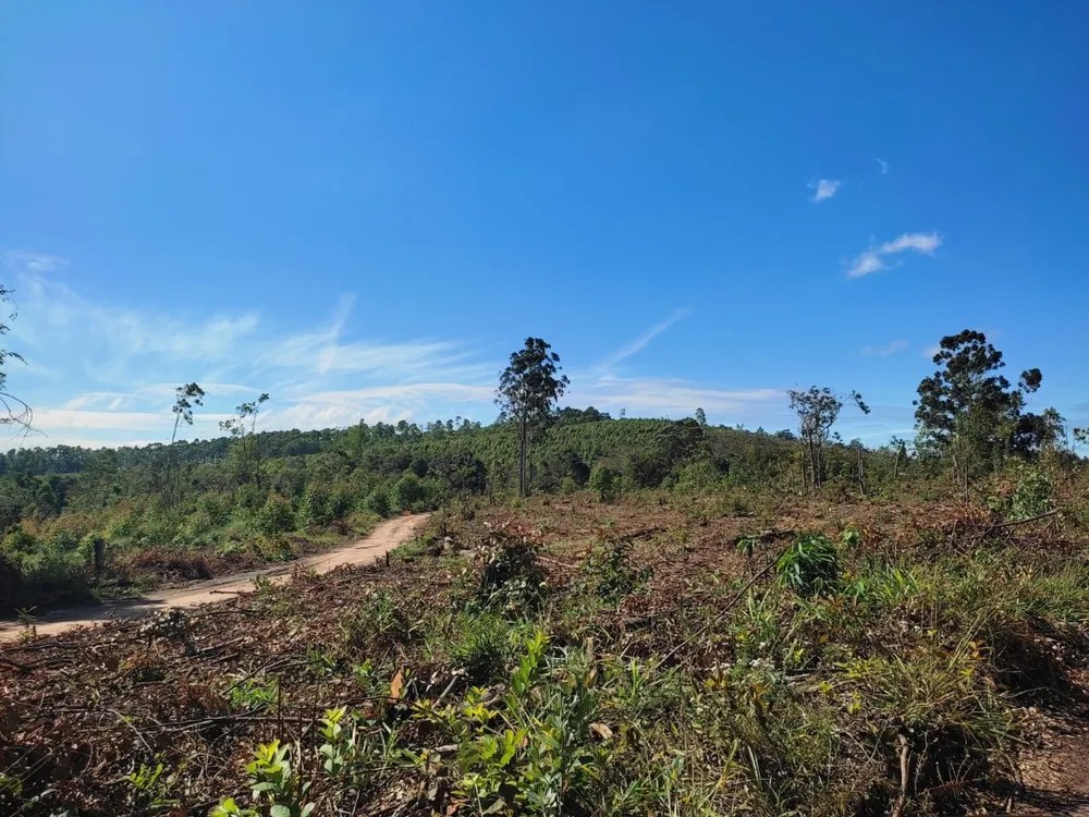 Terreno, 1200 m² - Foto 7