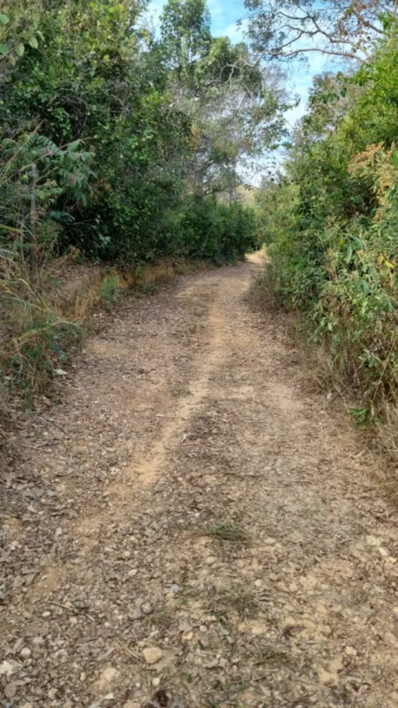 Sítio, 2 quartos, 2 hectares - Foto 1