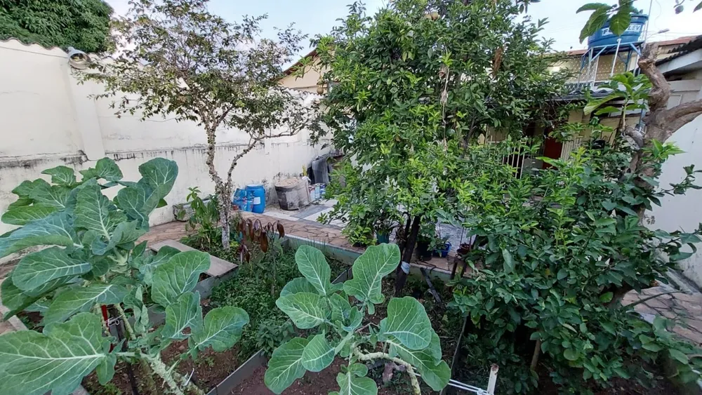 Casa, 4 quartos, 250 m² - Foto 11
