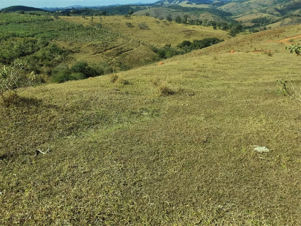 Chácara à venda com 2 quartos, 3680000m² - Foto 14