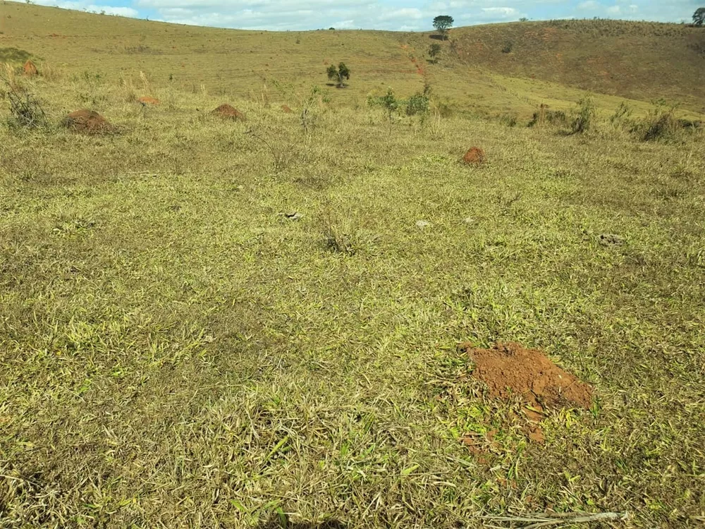 Chácara à venda com 2 quartos, 3680000m² - Foto 11