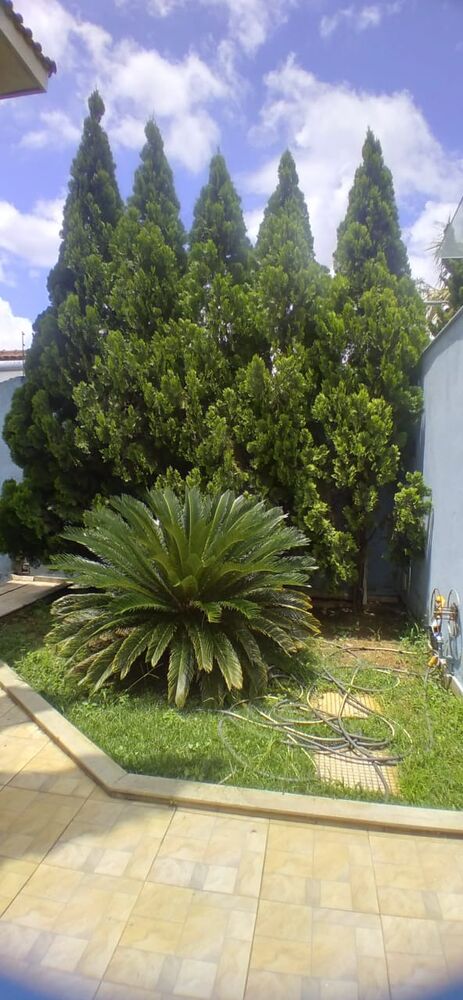 Casa à venda com 3 quartos, 600m² - Foto 3