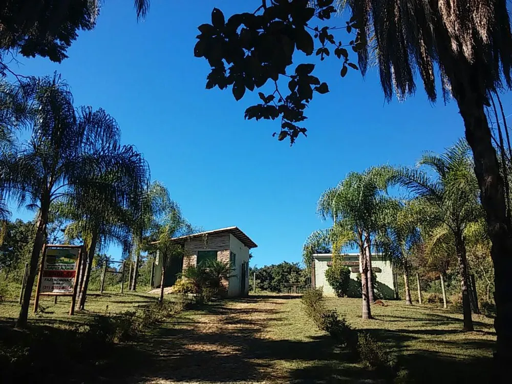 Terreno, 2 hectares - Foto 5