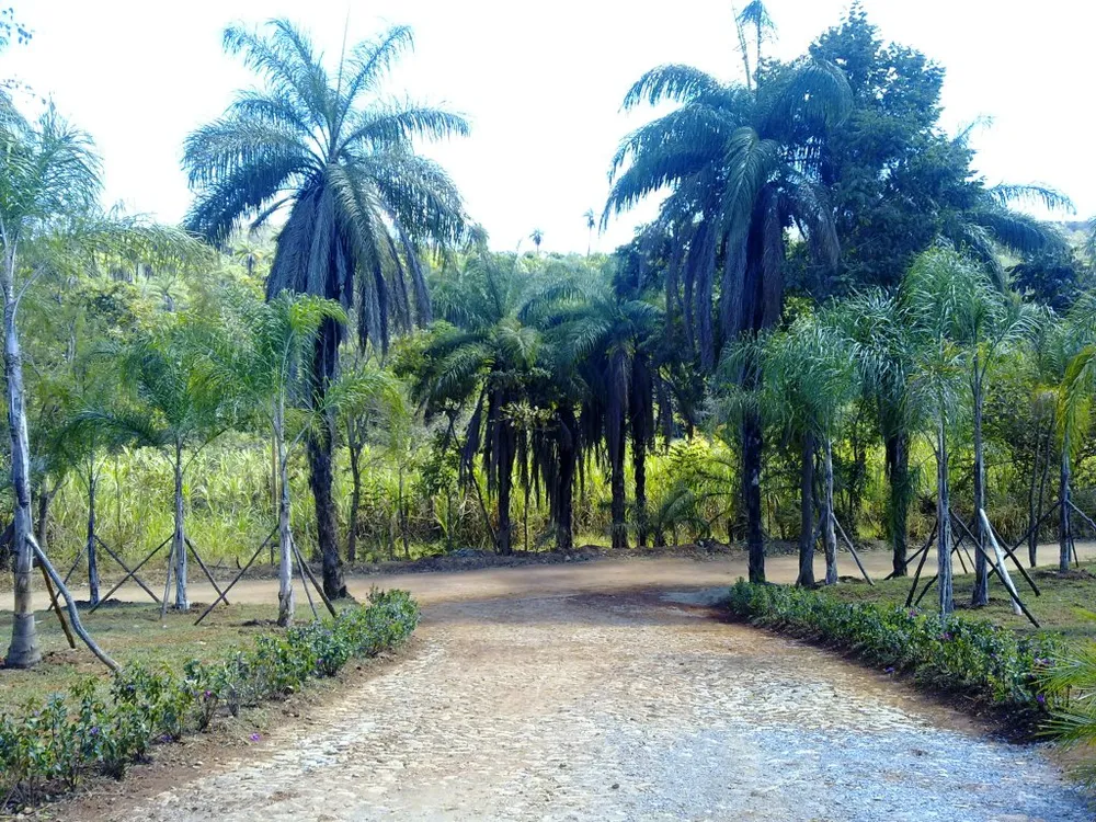 Terreno, 2 hectares - Foto 8