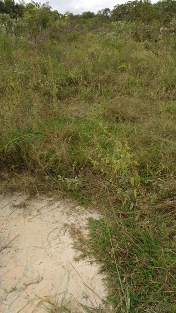 Terreno, 5000 m² - Foto 1