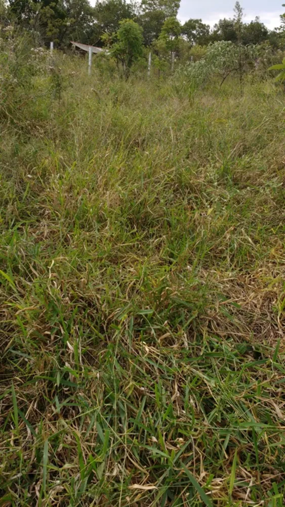 Terreno, 5000 m² - Foto 8