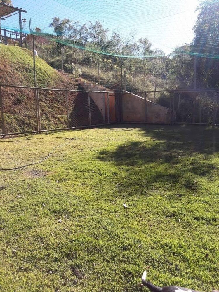 Sítio à venda com 3 quartos, 1000m² - Foto 4