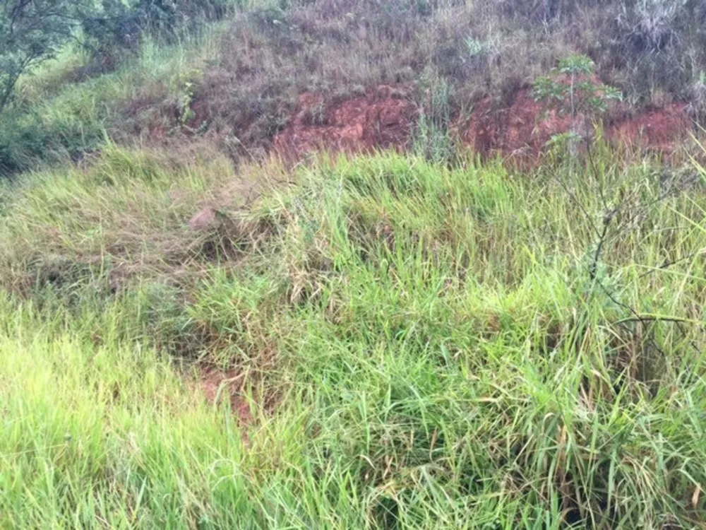 Terreno, 360 m² - Foto 5