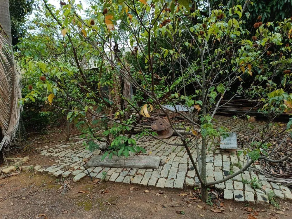 Chácara, 1 quarto, 863 m² - Foto 13