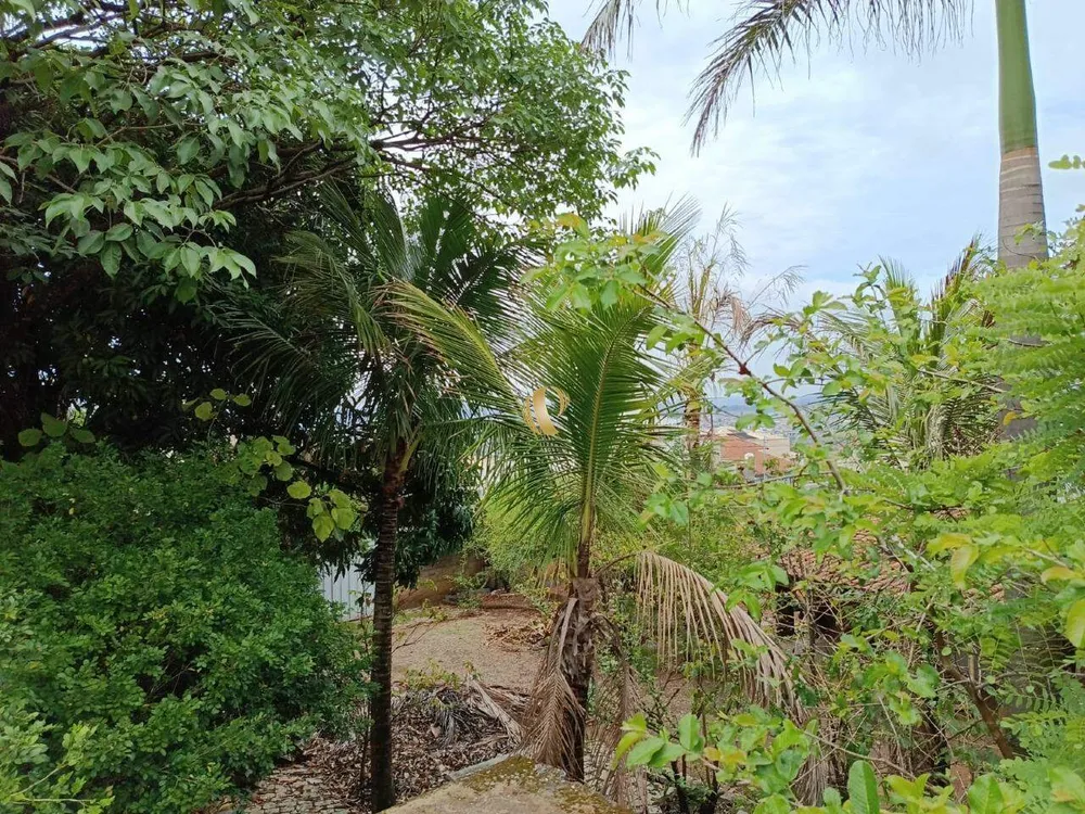 Chácara, 1 quarto, 863 m² - Foto 11