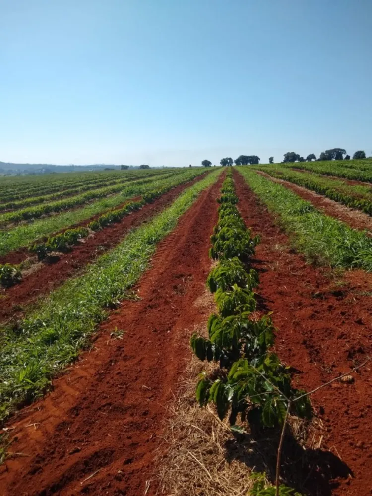 Fazenda, 1 quarto - Foto 1