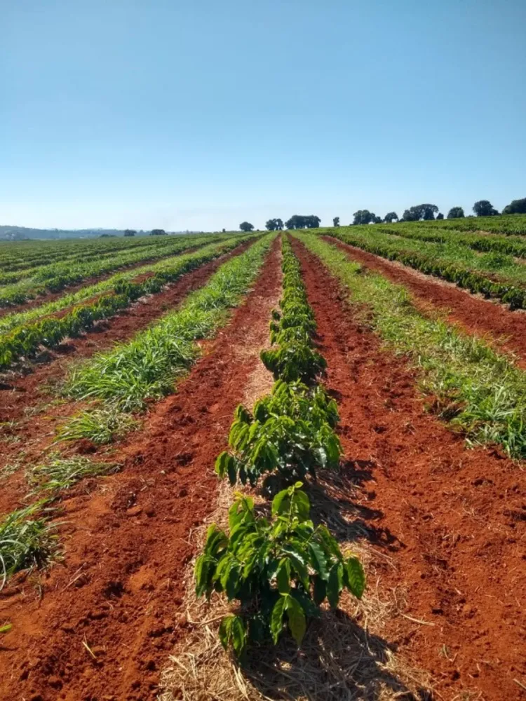 Fazenda, 1 quarto - Foto 5